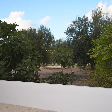 Lägenhet Nea Grove